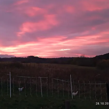 Wollwerkstatt Vulkaneifel Appartement Borler