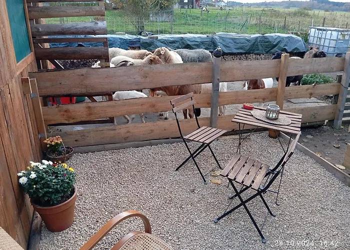 Wollwerkstatt Vulkaneifel Appartement